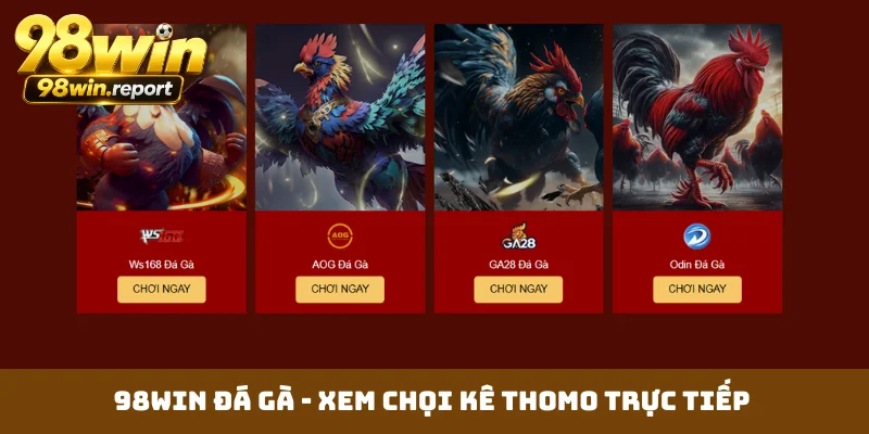 98WIN Đá Gà - Xem Chọi Kê Thomo Trực Tiếp Hôm Nay Cực Đã