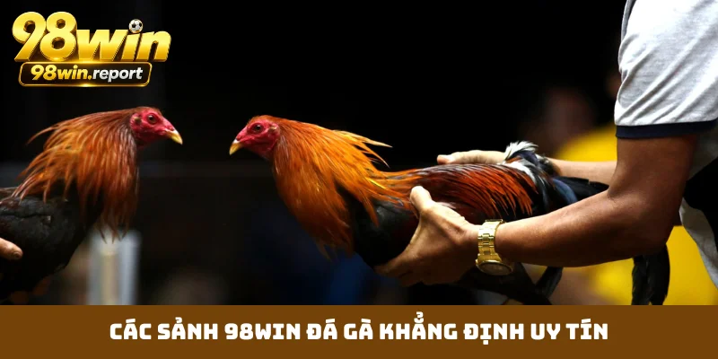 Các sảnh 98WIN đá gà khẳng định uy tín